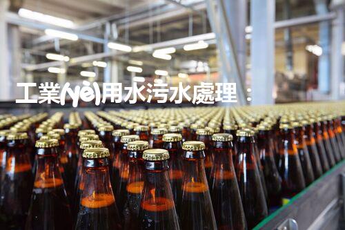 工業(yè)用水污水處理：揭秘環(huán)保奇跡，為何成為產(chǎn)業(yè)熱點(diǎn)？